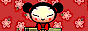 Korean Pucca 